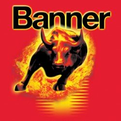 Image for Banner "Running Bull" AGM batteries