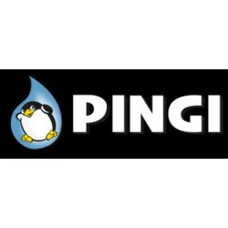 Image for Pingi