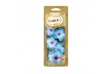 Bahama Tahitian Necklace Vanilla Air Freshener