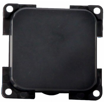 Image for Single Plate Switch: Black